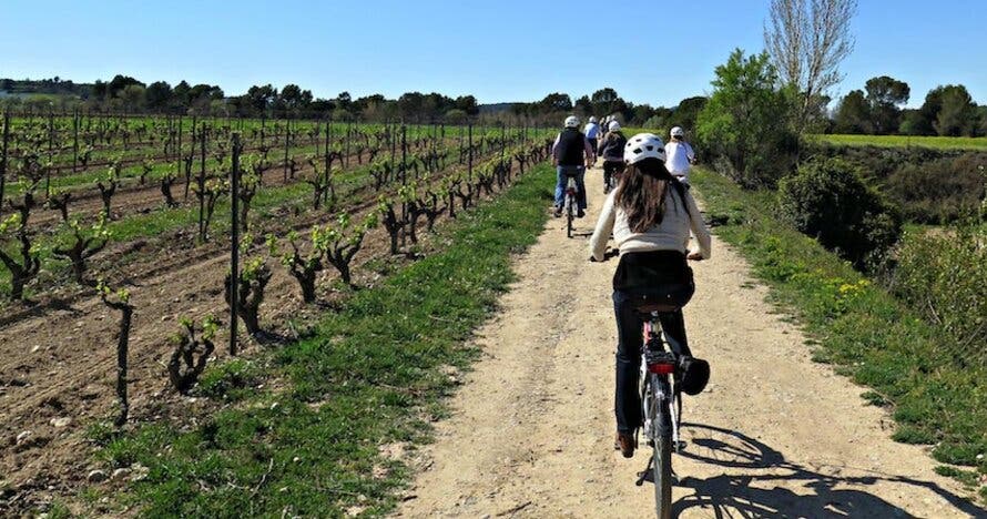 Bike & Taste. Ruta autoguiada en bicicleta con cata de vinos