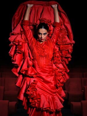 Pasión - Espectáculo flamenco