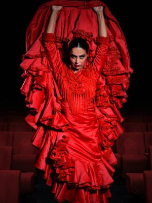 Esencia - Espectáculo flamenco