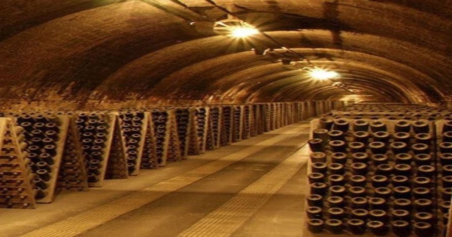 Codorniu - Ars Collecta