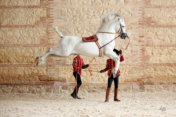 Espectáculo Ecuestre Caballerizas Reales de Córdoba