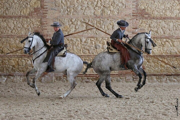 Espectáculo Ecuestre Caballerizas Reales de Córdoba