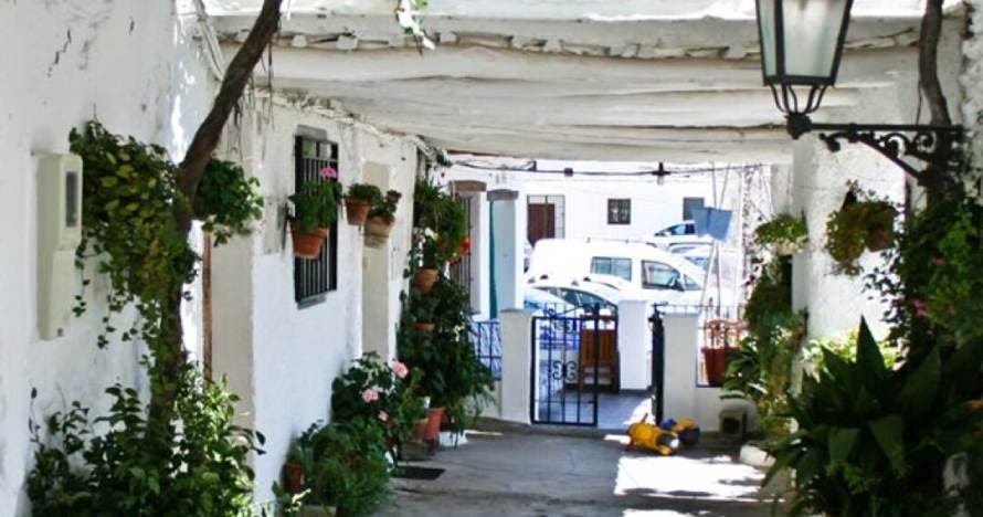 Sabores y paisajes: visita la Alpujarra con almuerzo