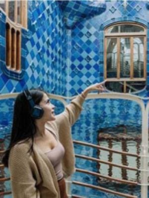 Casa Batlló - Casa Batlló Silver