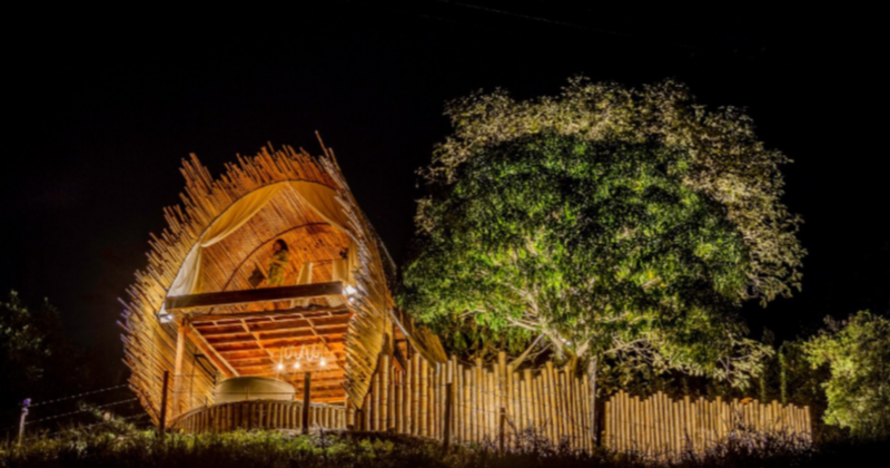 Glamping en nidos campestres - Bird House