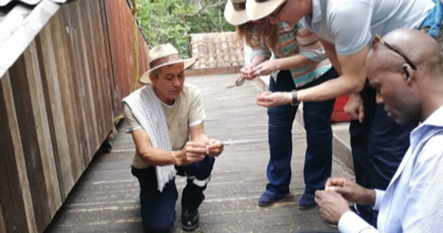Tour hacienda cafetera