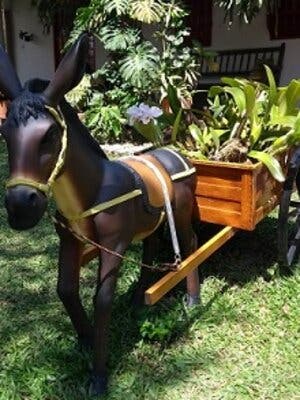 Tour hacienda cafetera