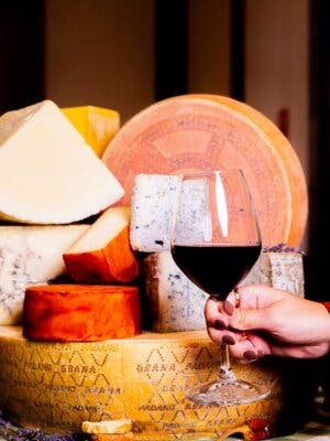 Cata de queso con maridaje de vinos