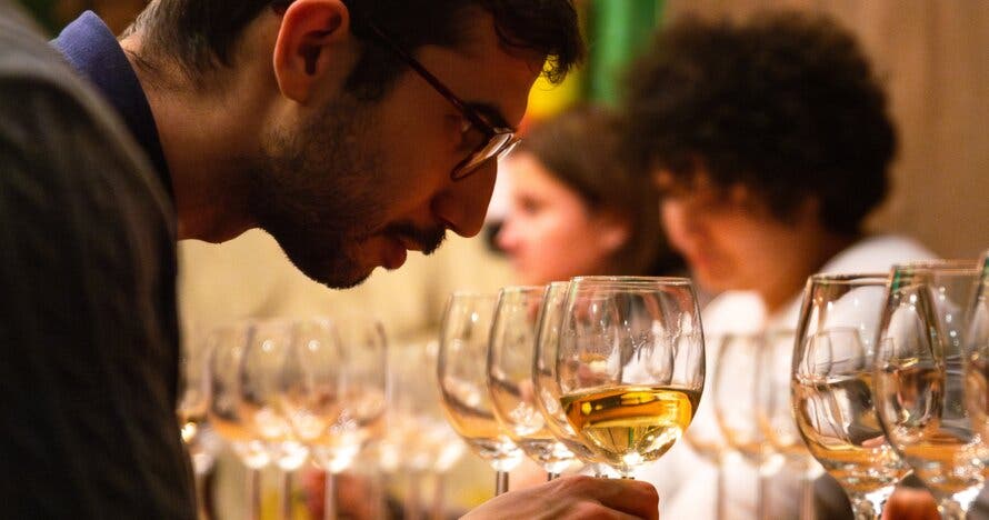 Cata de queso con maridaje de vinos