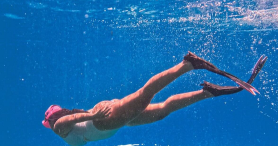 Snorkeling con traslado round-trip