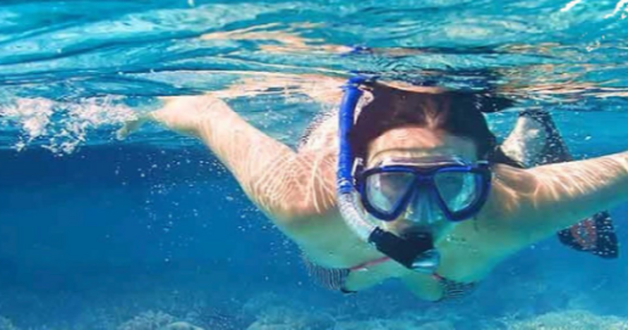 Snorkeling con traslado round-trip