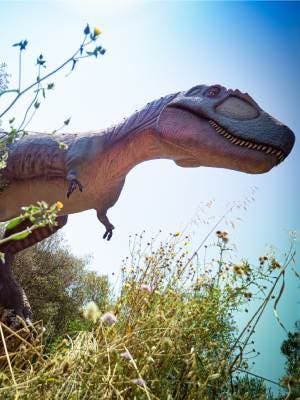 Dinosaurland y Cuevas del Hams