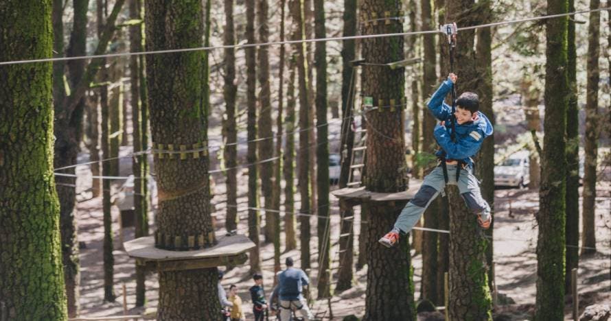 Forestal Park