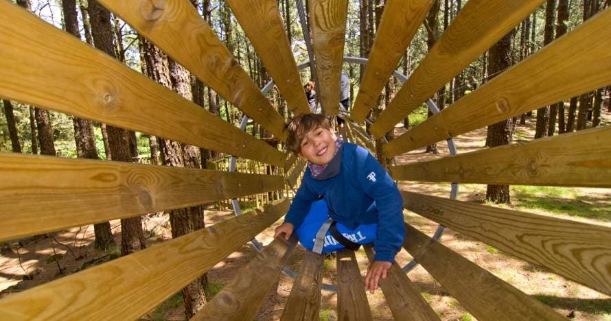 Forestal Park