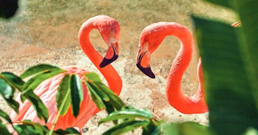 Mundomar: paraíso de la naturaleza