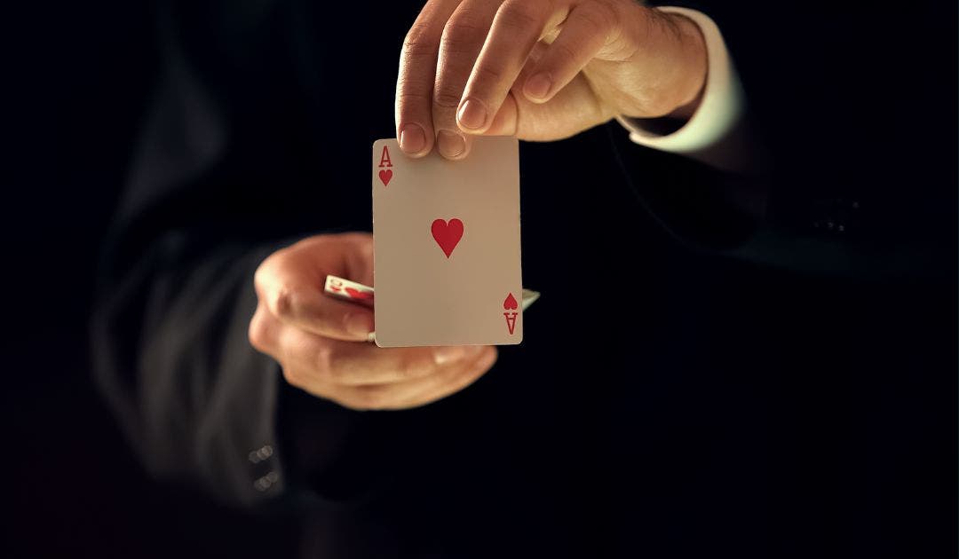 Magia y Comedia en el Bosc de les Fades