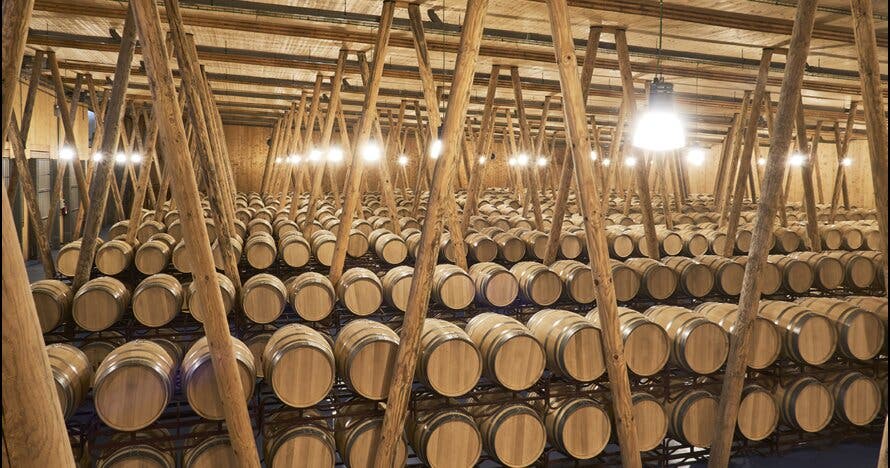 Experiencia gastronómica en la Bodega Bela