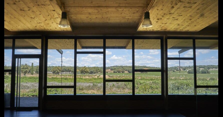 Experiencia gastronómica en la Bodega Bela