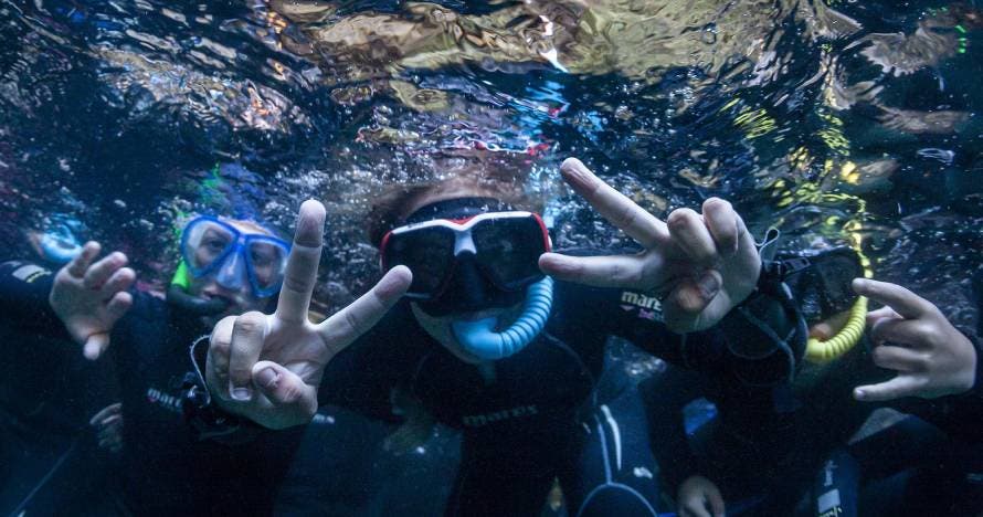 Eco-Snorkel en las Islas Medas