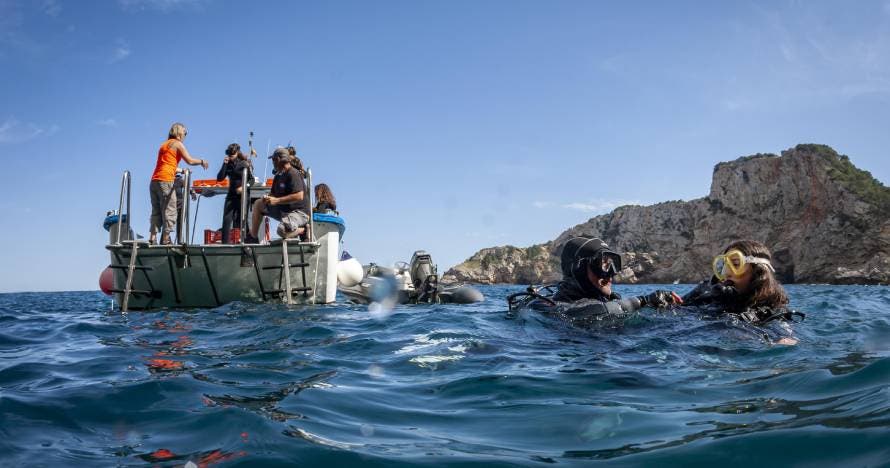 Eco-Snorkel en las Islas Medas