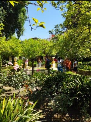 Visita Palacio de Dueñas