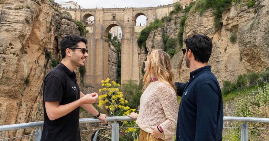 Ronda y cata de aceite: excursión en grupos pequeños desde Málaga
