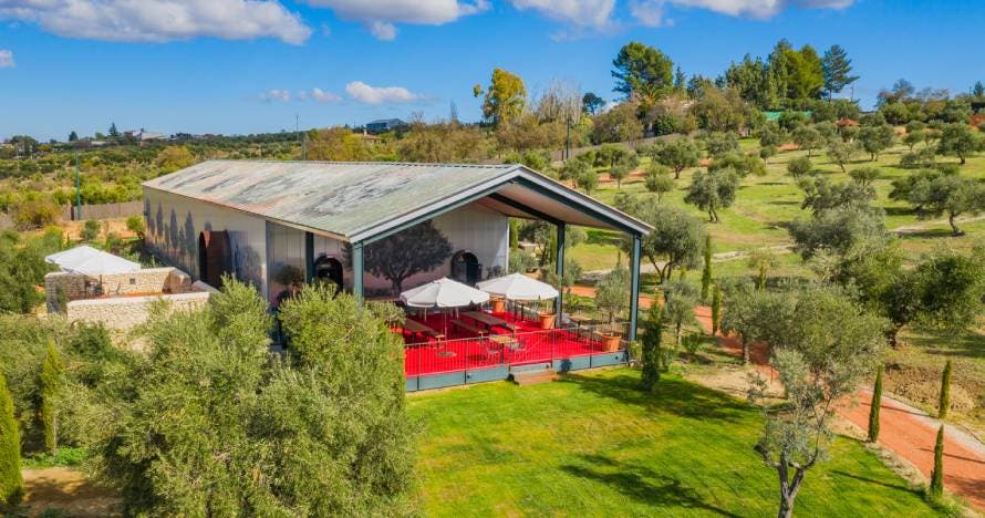 Ronda y cata de aceite: excursión en grupos pequeños desde Málaga