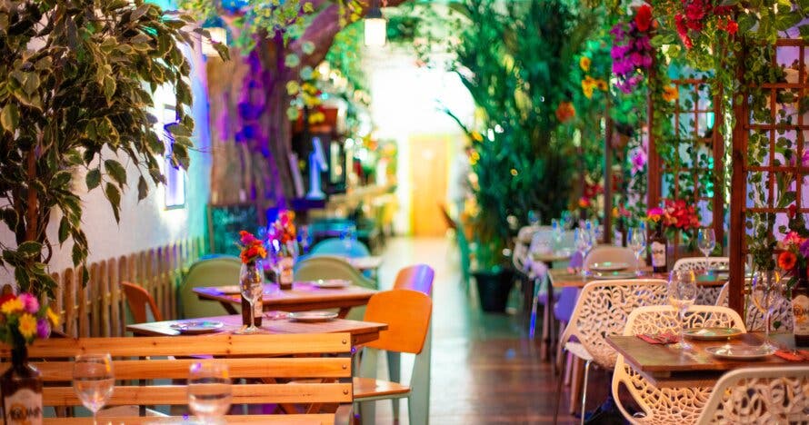 Tarot botánico con cocktail y bao opcional en Jardinet d Aribau