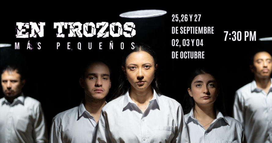 En trozos más pequeños