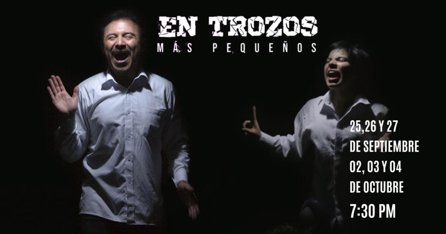 En trozos más pequeños