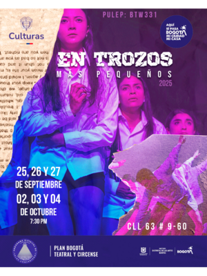En trozos más pequeños