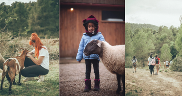 Fundacin Reserva Wild Forest - Visita