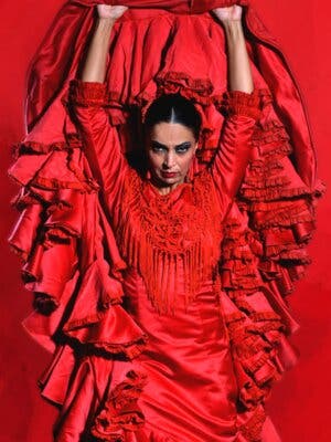 Sensaciones - Espectculo flamenco