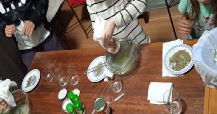 Celebra un cumpleaños inolvidable en contacto con la naturaleza