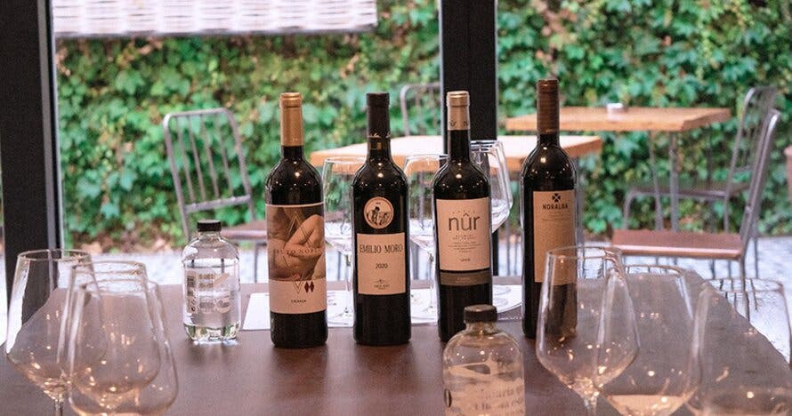 Cata de 4 vinos personalizada con queso en Hotel Praktik Vinoteca