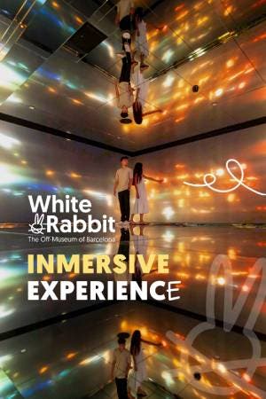 White Rabbit. Discover Catalonia’s Top Immersive Art Experience