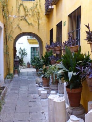 Free Tour del barrio de Santa Cruz y la judería, la esencia histórica