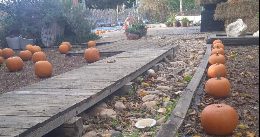 ¡Pumpkin Experience.  Aventura Familiar Mágica en la Naturaleza!