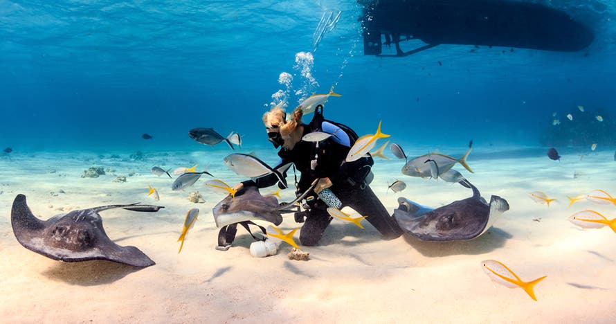 Jhonny Cay, Acuario, Mantarrayas, Manglares y Haynes Cay en San Andrés