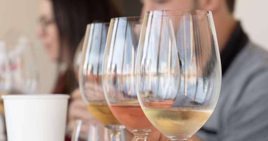 Una completa experiencia enoturística: viñedos, bodega y cata