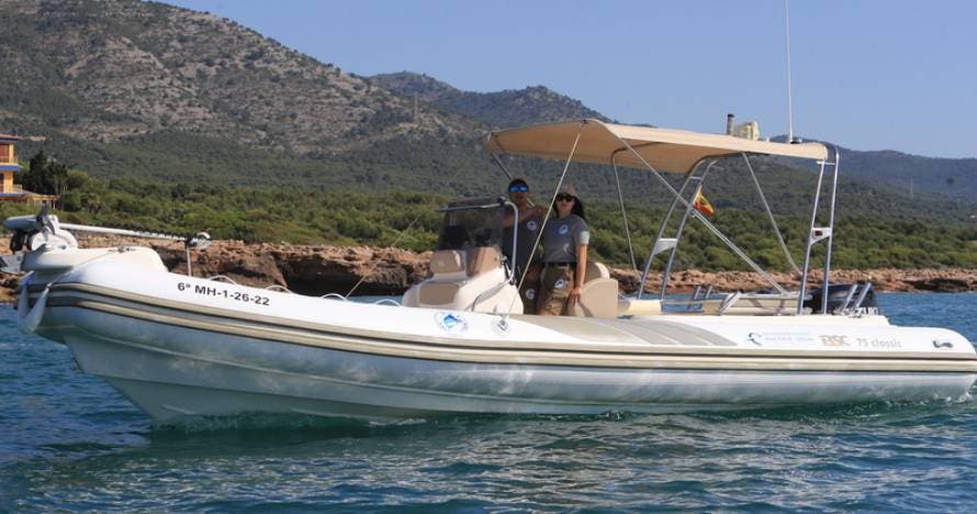 Pesca deportiva