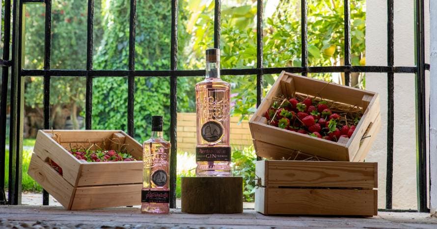 Destilería Puerto de Indias: Tour Básico + degustación 3 Gin Premium