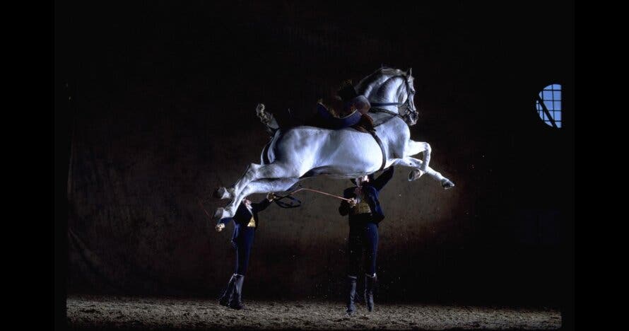 Jerez y Cádiz: Caballos y Bodegas desde Sevilla