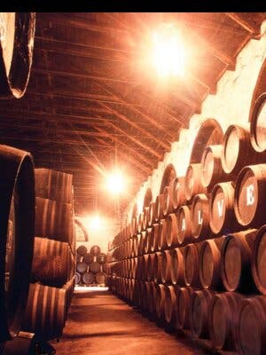 Jerez y Cádiz: Caballos y Bodegas desde Sevilla