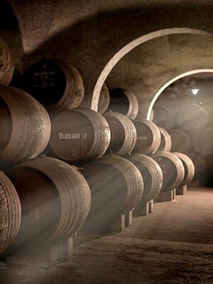 Bodegas Barbadillo: Visita Guiada con Degustación de 3 Vinos foto 1