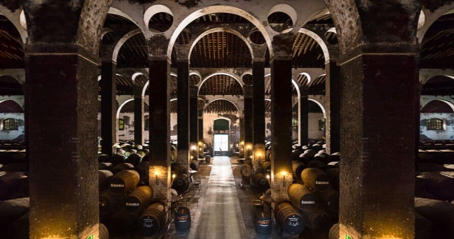 Bodegas Barbadillo: Visita Guiada con Degustación de 3 Vinos