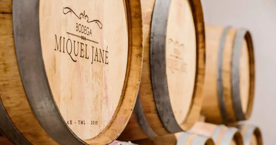 Desayuno en bodega y visita a viñedos con degustación y cata de vinos