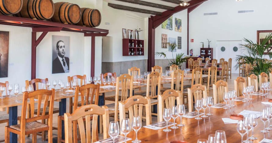 Desayuno en bodega y visita a viñedos con degustación y cata de vinos