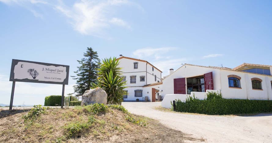Desayuno en bodega y visita a viñedos con degustación y cata de vinos