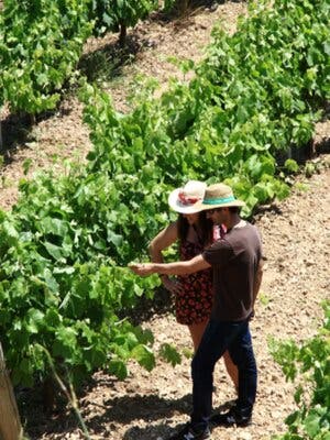 Ruta a caballo por el Penedès y visita a bodega